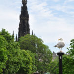 Парк на Принцесс-стрит и чайка