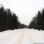 Зимняя дорога в Новгородской области